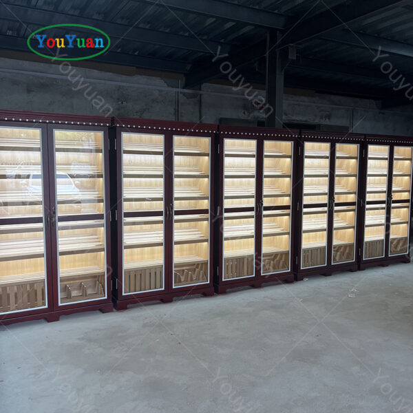 Youyuan Cigar cabinet two doors C12 - Image 4